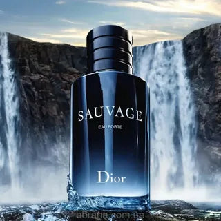 Dior Sauvage Eau de Parfum for Men – 100ml